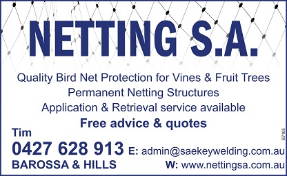 banner image for Netting SA